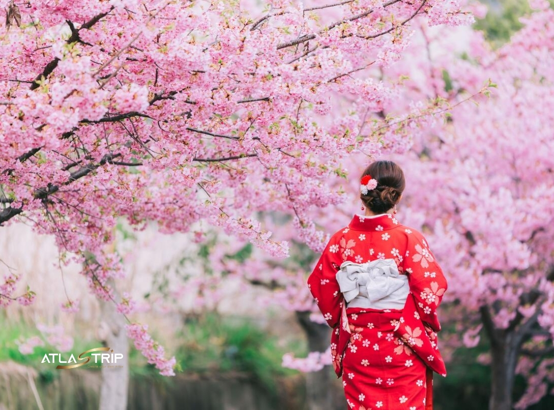 YUKATA LÀ GÌ? KHÁC GÌ KIMONO – NÉT ĐẸP TRUYỀN THỐNG CỦA NHẬT BẢN