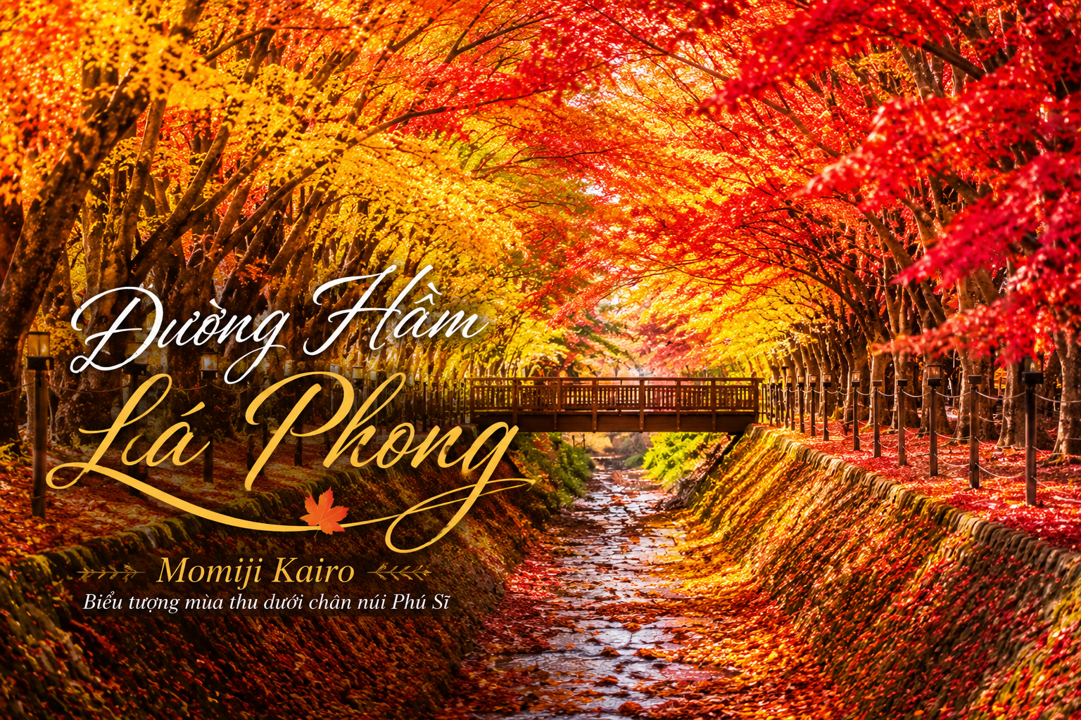 Đường hầm lá phong Momiji Kairo – Nơi mùa thu Nhật Bản đẹp như một bức tranh sống
