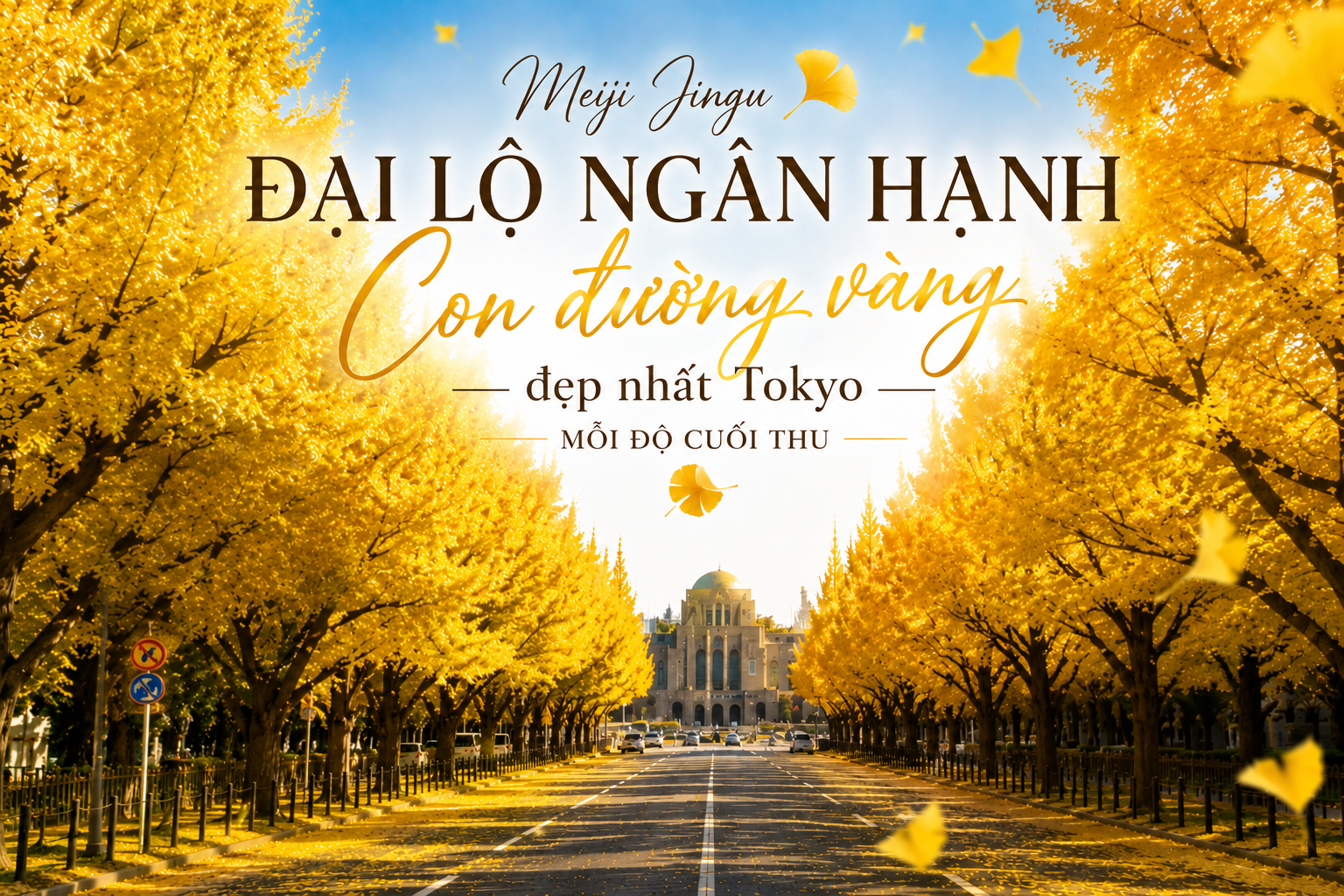 Đại lộ ngân hạnh Meiji Jingu – Con đường vàng đẹp nhất Tokyo mỗi độ cuối thu