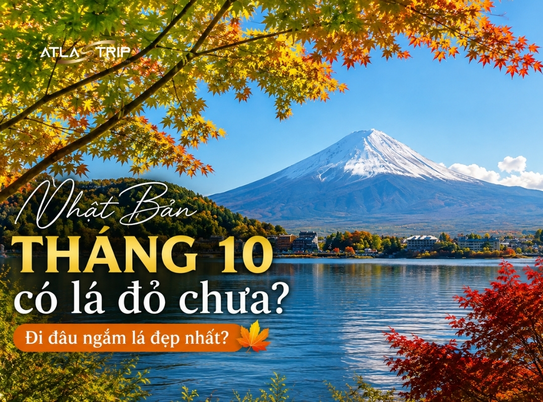 Nhật Bản tháng 10 có lá đỏ chưa? Đi đâu ngắm lá đẹp?
